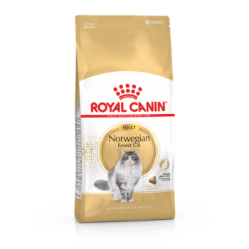 Royal Canin Norwegian Forest Cat Adult 10kg